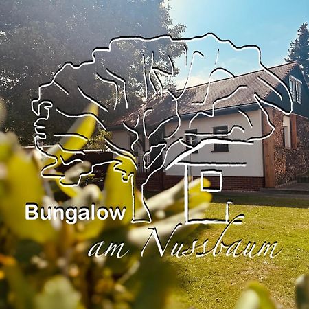 Bungalow Am Nussbaum Olbersdorf Esterno foto