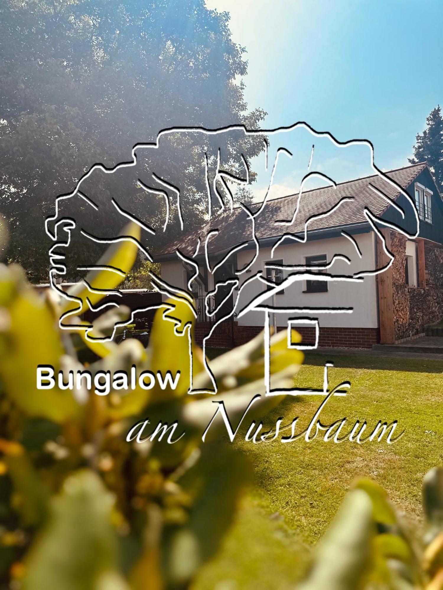 Bungalow Am Nussbaum Olbersdorf Esterno foto